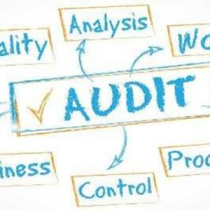Auditories internes de qualitat ISO 13485:2018 Auditories internes de qualitat ISO 13485:2018