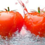 Buenas prácticas de higiene en la manipulación de alimentos 5 h