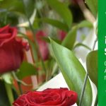 Webinar - Ingecal Quality People - Sant Jordi