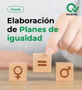 elaboracion-de-planes-de-igualdad-600x660