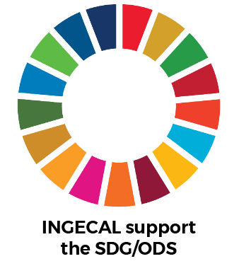 logo-ods-transparent-1